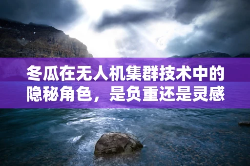 冬瓜在无人机集群技术中的隐秘角色，是负重还是灵感之源？