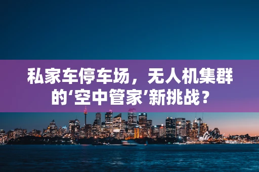 私家车停车场，无人机集群的‘空中管家’新挑战？