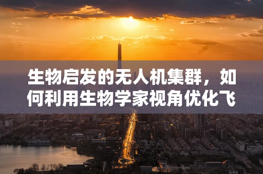 生物启发的无人机集群，如何利用生物学家视角优化飞行协同？