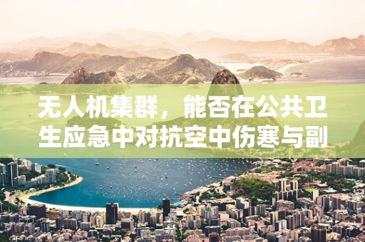 无人机集群，能否在公共卫生应急中对抗空中伤寒与副伤寒？