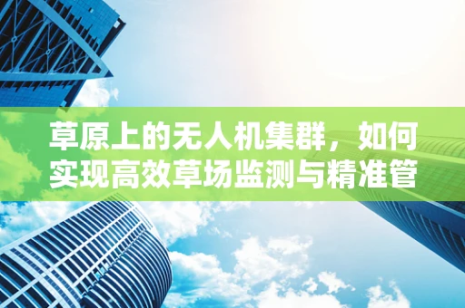 草原上的无人机集群，如何实现高效草场监测与精准管理？
