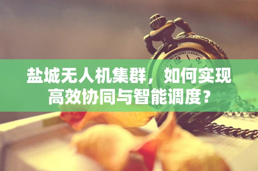盐城无人机集群，如何实现高效协同与智能调度？