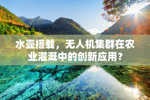 水壶搭载，无人机集群在农业灌溉中的创新应用？