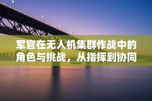 军官在无人机集群作战中的角色与挑战，从指挥到协同的跨越