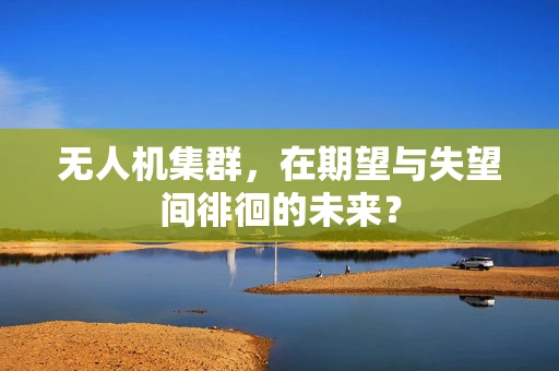 无人机集群，在期望与失望间徘徊的未来？