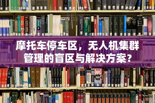 摩托车停车区，无人机集群管理的盲区与解决方案？