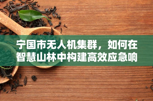 宁国市无人机集群，如何在智慧山林中构建高效应急响应网络？