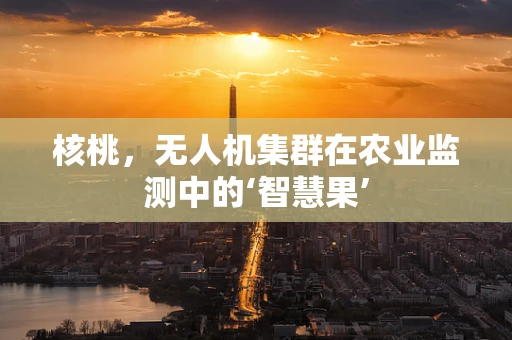 核桃，无人机集群在农业监测中的‘智慧果’