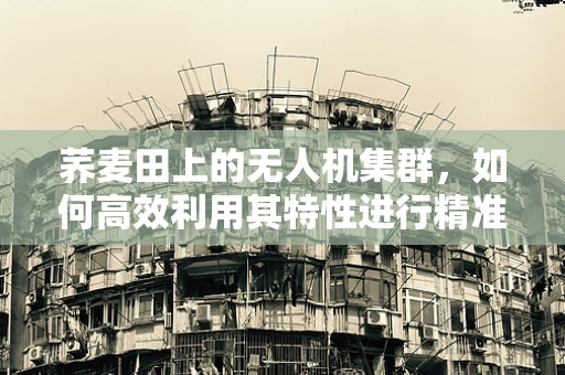 荞麦田上的无人机集群，如何高效利用其特性进行精准喷洒？