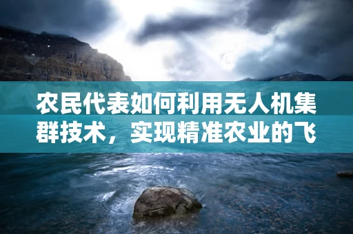农民代表如何利用无人机集群技术，实现精准农业的飞跃？