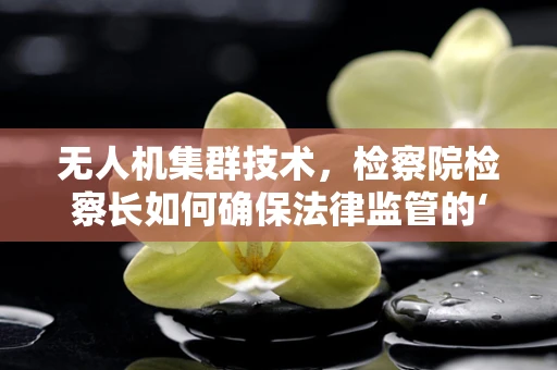 无人机集群技术，检察院检察长如何确保法律监管的‘空地’无缝衔接？