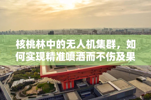 核桃林中的无人机集群，如何实现精准喷洒而不伤及果实？