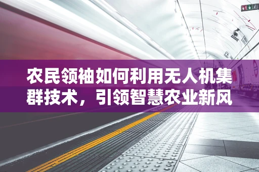 农民领袖如何利用无人机集群技术，引领智慧农业新风尚？