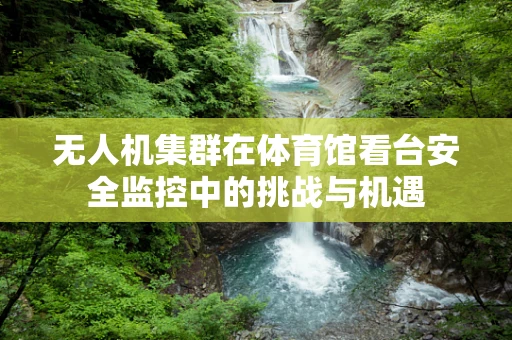 无人机集群在体育馆看台安全监控中的挑战与机遇