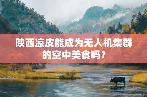 陕西凉皮能成为无人机集群的空中美食吗？