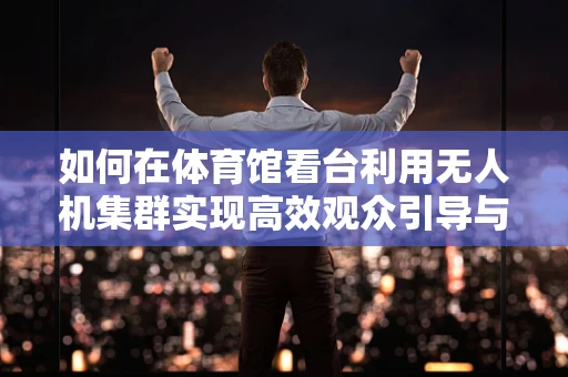 如何在体育馆看台利用无人机集群实现高效观众引导与安全监控？