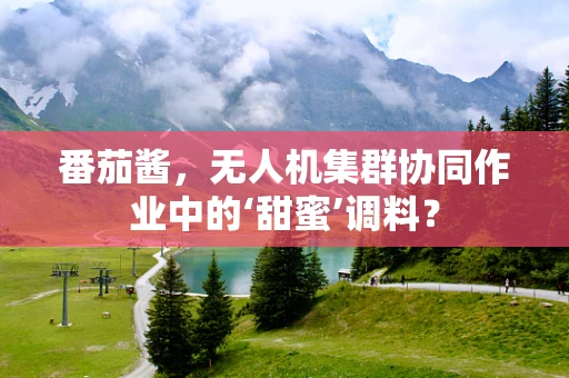 番茄酱，无人机集群协同作业中的‘甜蜜’调料？