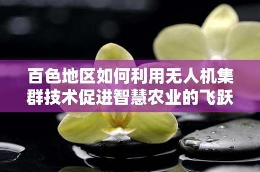百色地区如何利用无人机集群技术促进智慧农业的飞跃发展？