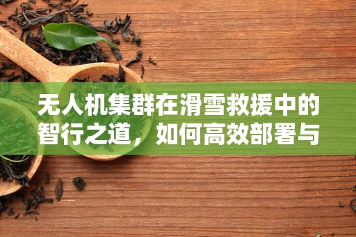 无人机集群在滑雪救援中的智行之道，如何高效部署与协同？