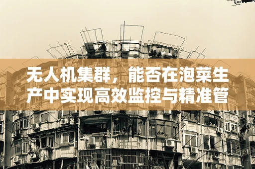 无人机集群，能否在泡菜生产中实现高效监控与精准管理？