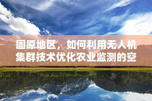 固原地区，如何利用无人机集群技术优化农业监测的空中之问？