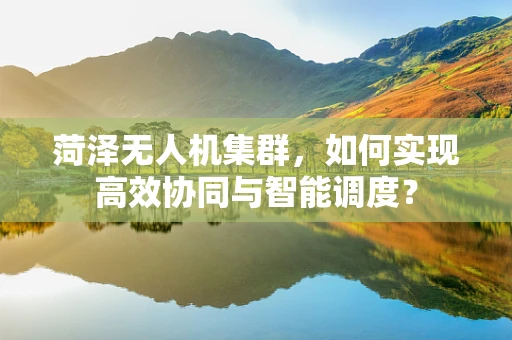 菏泽无人机集群，如何实现高效协同与智能调度？