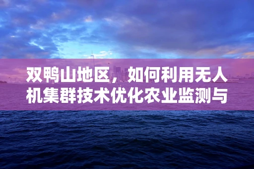 双鸭山地区，如何利用无人机集群技术优化农业监测与精准施策？