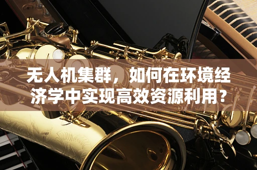 无人机集群，如何在环境经济学中实现高效资源利用？