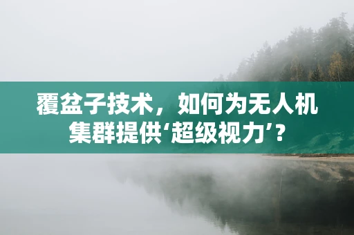 覆盆子技术，如何为无人机集群提供‘超级视力’？