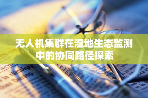 无人机集群在湿地生态监测中的协同路径探索