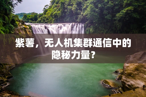 紫薯，无人机集群通信中的隐秘力量？