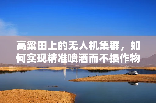 高粱田上的无人机集群，如何实现精准喷洒而不损作物？