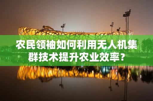 农民领袖如何利用无人机集群技术提升农业效率？