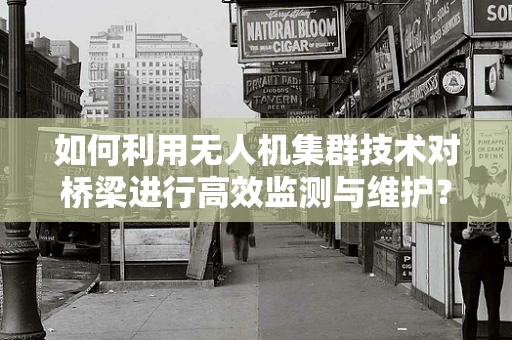 如何利用无人机集群技术对桥梁进行高效监测与维护？