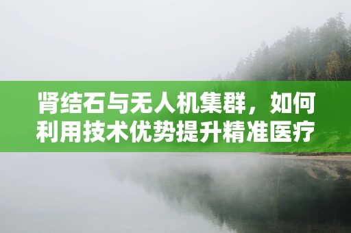肾结石与无人机集群，如何利用技术优势提升精准医疗物资配送？