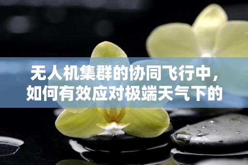 无人机集群的协同飞行中，如何有效应对极端天气下的‘大衣’挑战？