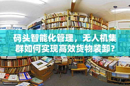 码头智能化管理，无人机集群如何实现高效货物装卸？