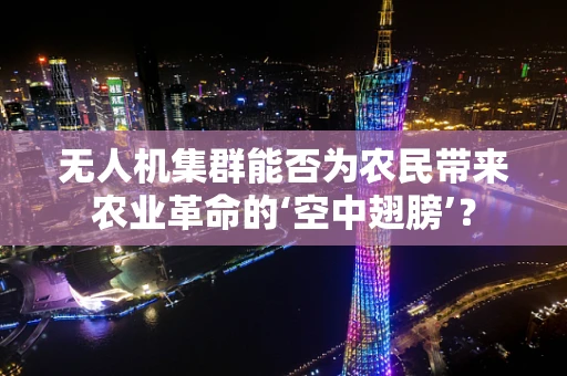 无人机集群能否为农民带来农业革命的‘空中翅膀’？