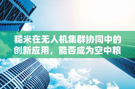 糙米在无人机集群协同中的创新应用，能否成为空中粮仓的秘密武器？