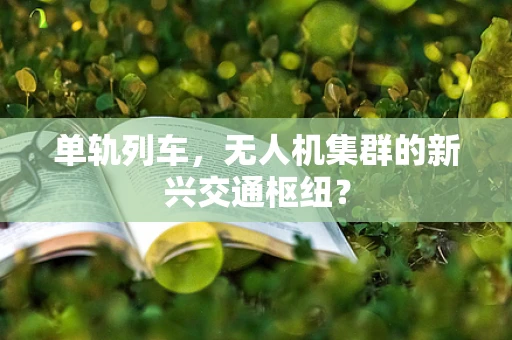 单轨列车，无人机集群的新兴交通枢纽？