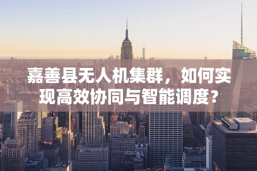 嘉善县无人机集群，如何实现高效协同与智能调度？