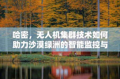 哈密，无人机集群技术如何助力沙漠绿洲的智能监控与保护？