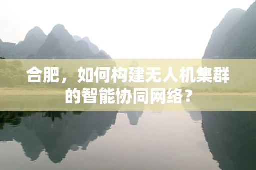 合肥，如何构建无人机集群的智能协同网络？