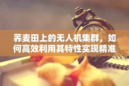荞麦田上的无人机集群，如何高效利用其特性实现精准喷洒？