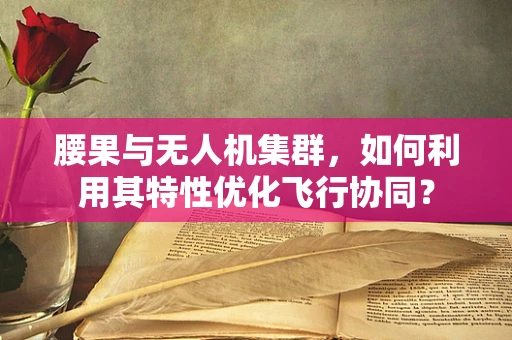 腰果与无人机集群，如何利用其特性优化飞行协同？