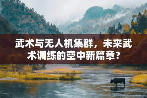 武术与无人机集群，未来武术训练的空中新篇章？