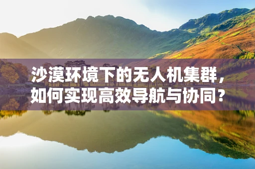 沙漠环境下的无人机集群，如何实现高效导航与协同？