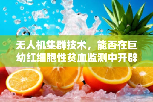 无人机集群技术，能否在巨幼红细胞性贫血监测中开辟新路径？
