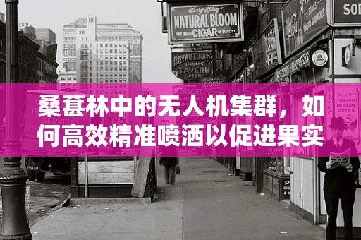 桑葚林中的无人机集群，如何高效精准喷洒以促进果实生长？