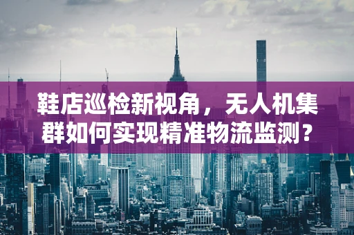 鞋店巡检新视角，无人机集群如何实现精准物流监测？